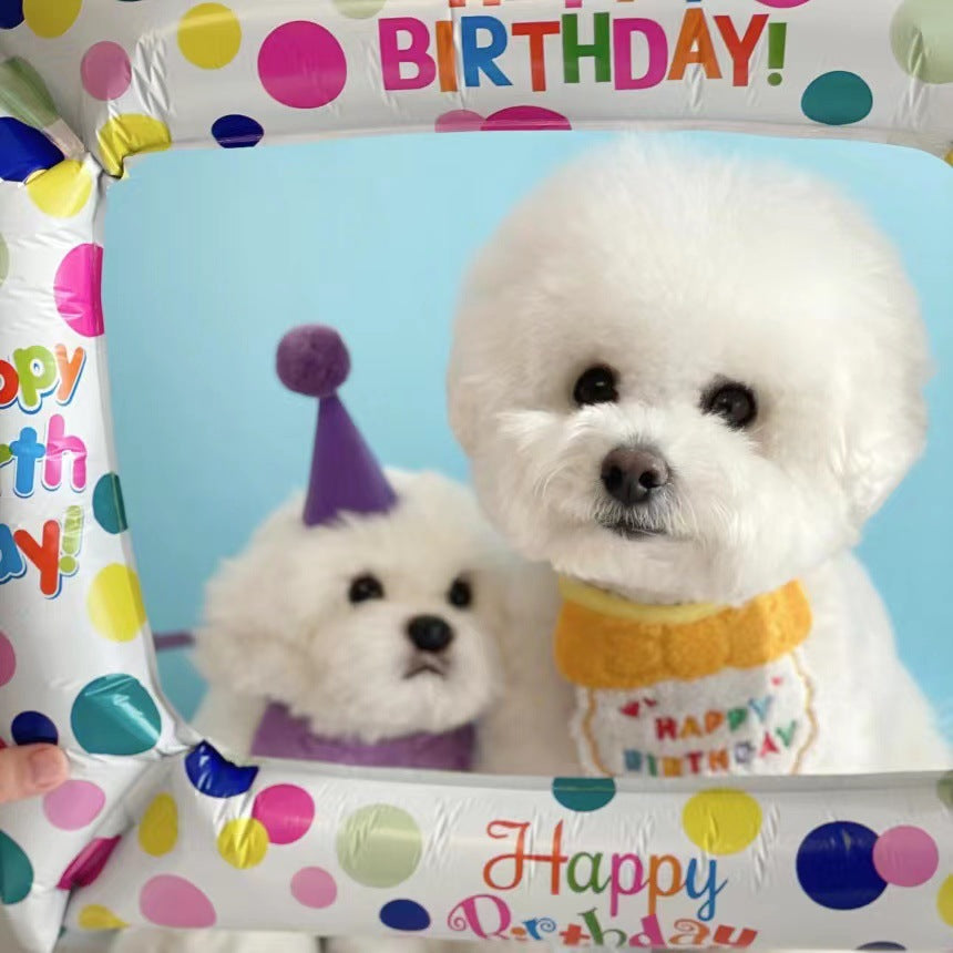 Party Birthday Hat and Bib Set for Dog or Cat - Bichon Frise - Minihomy