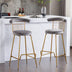 Luxury Velvet Bar Stools Set of 2, Grey - High Back, Metal Legs, Modern Kitchen Dining Chairs - Minihomy