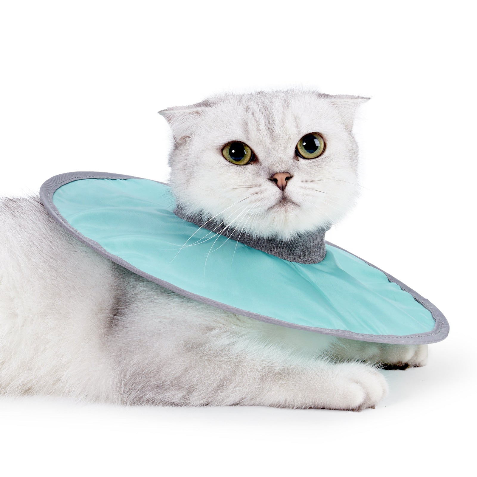 Cloth Circle Collar Pet Supplies