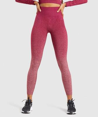 Women Gym Yoga Seamless Pants Sports Clothes: Stay Stylish and Comfortable During Your Workout