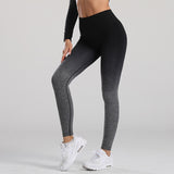 Women Gym Yoga Seamless Pants Sports Clothes: Stay Stylish and Comfortable During Your Workout