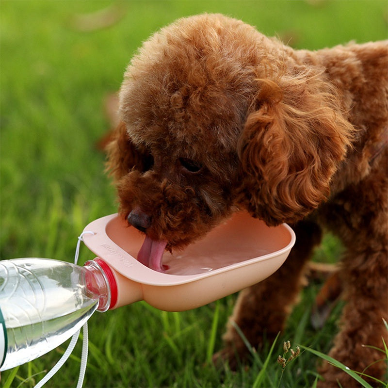 Portable Pet Water Bottle - Candy Colors for On-the-Go Hydration