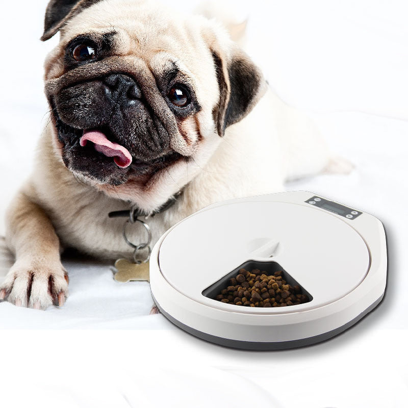 Pet Automatic Multi-grid Feeder - Intelligent Timing Bowl for Cats and Dogs