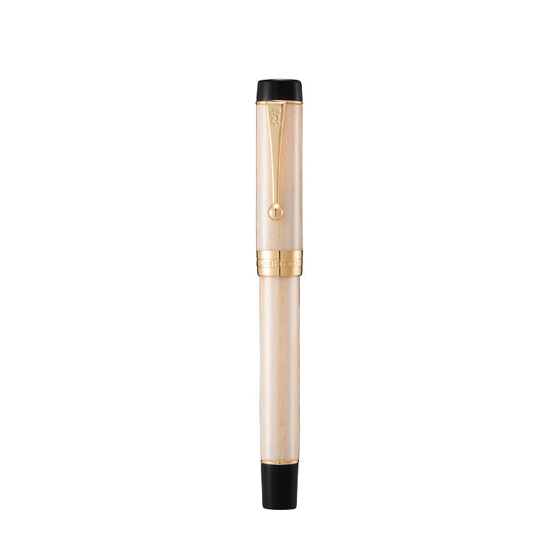 Tofu Fountain Pen Men And Women Special High-End Business Office Iridium Pen Gift Ink Pen