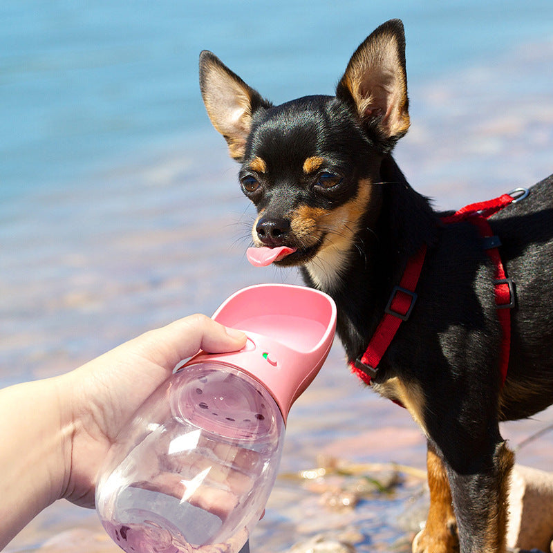 Portable Pet Water Fountain for Travel - Dog & Cat Handheld Drinking Bottle - Minihomy