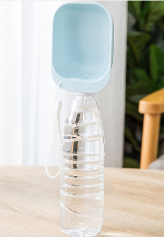 Portable drinking water bottle cup