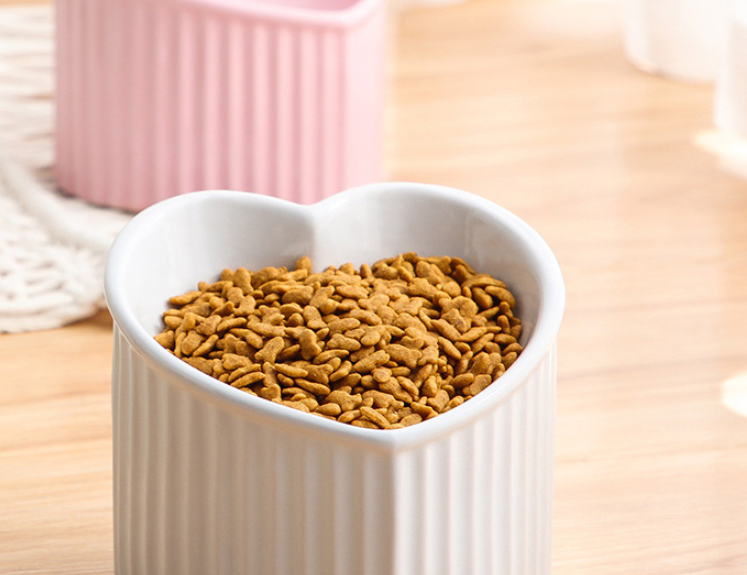 Pet Ceramic Bowl - Elevated Design for Healthy Feeding