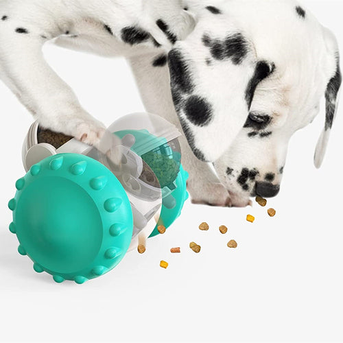 Multifunctional Fun Development Smart Pet Feeding Dog Toy Car