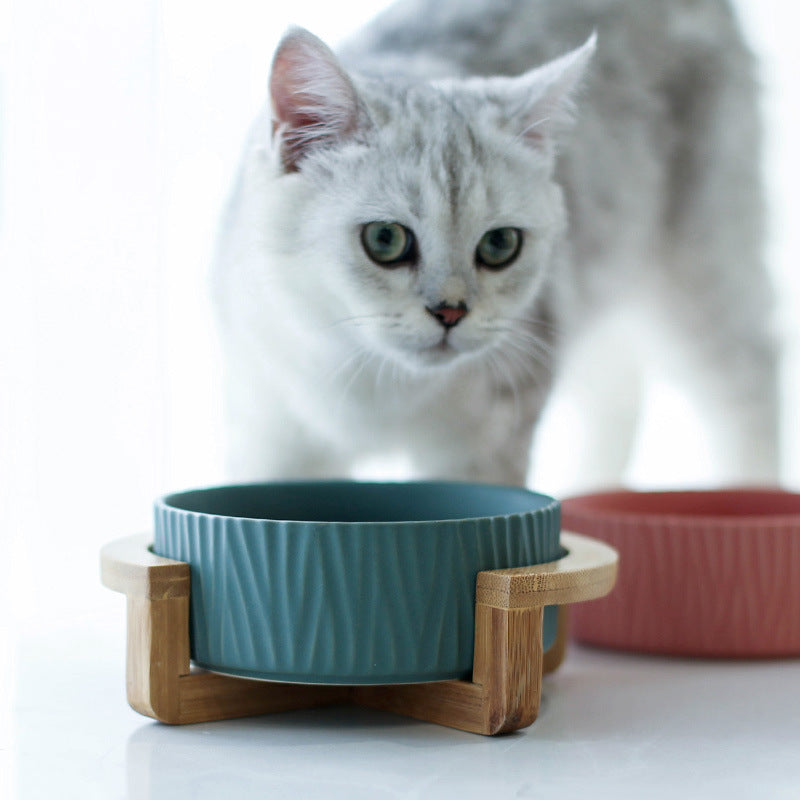 Ceramic Cat Food Bowl with Drinking Bowl for Cats