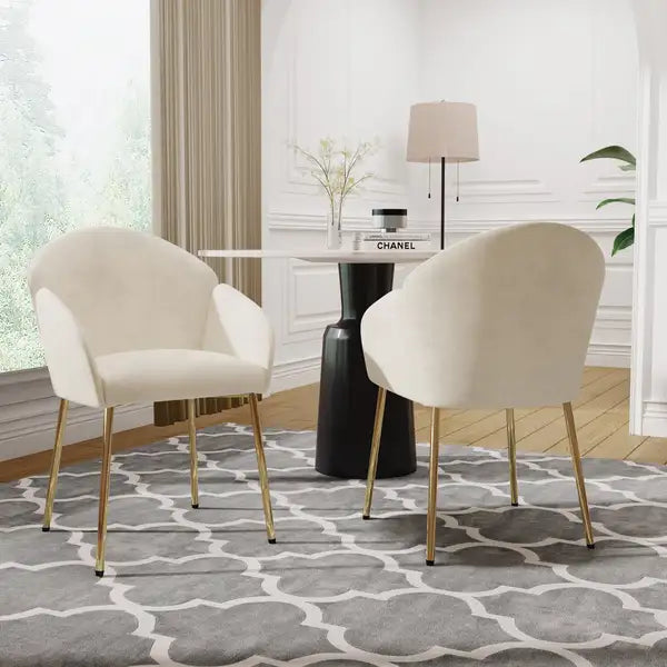 Set of 2 Dining Chairs - Modern, Comfortable, and Stylish