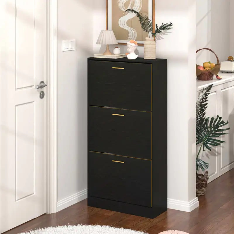 Black Modern Shoe Cabinet - 3 Hidden Drawers, Slim & Freestanding