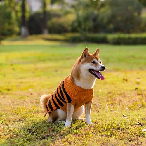 Halloween Dog Sweaters Pet Costume Teddy Warm Leisure Sweater