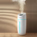 Desktop office home humidifier incense - Minihomy