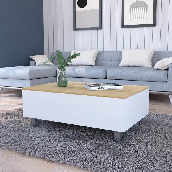 Lift Top Coffee Table with Storage - Modern Boston Design