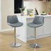 Adjustable Swivel Bar Stools with Back, Set of 2, Gray - Counter Height Kitchen Island Chairs - Minihomy