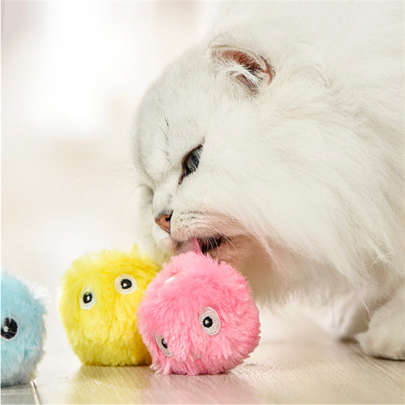 Kitty Light-Emitting Catnip Teasing Ball - Sound Molar, Long-Lasting Cat Toy