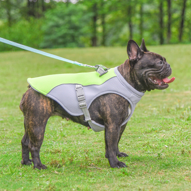Summer Pet Dog Cooling Vest - Heat Resistant Clothes for Outdoor Walking