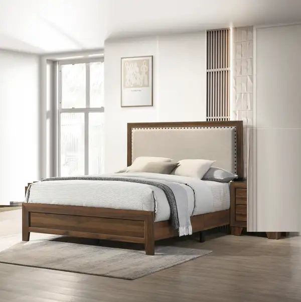 Brown Cherry Twin Headboard with Nailhead Trim - Upholstered Panel Bed for Kids & Youth