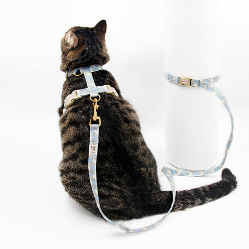 Cat And Dog Traction Rope British Short Cloth