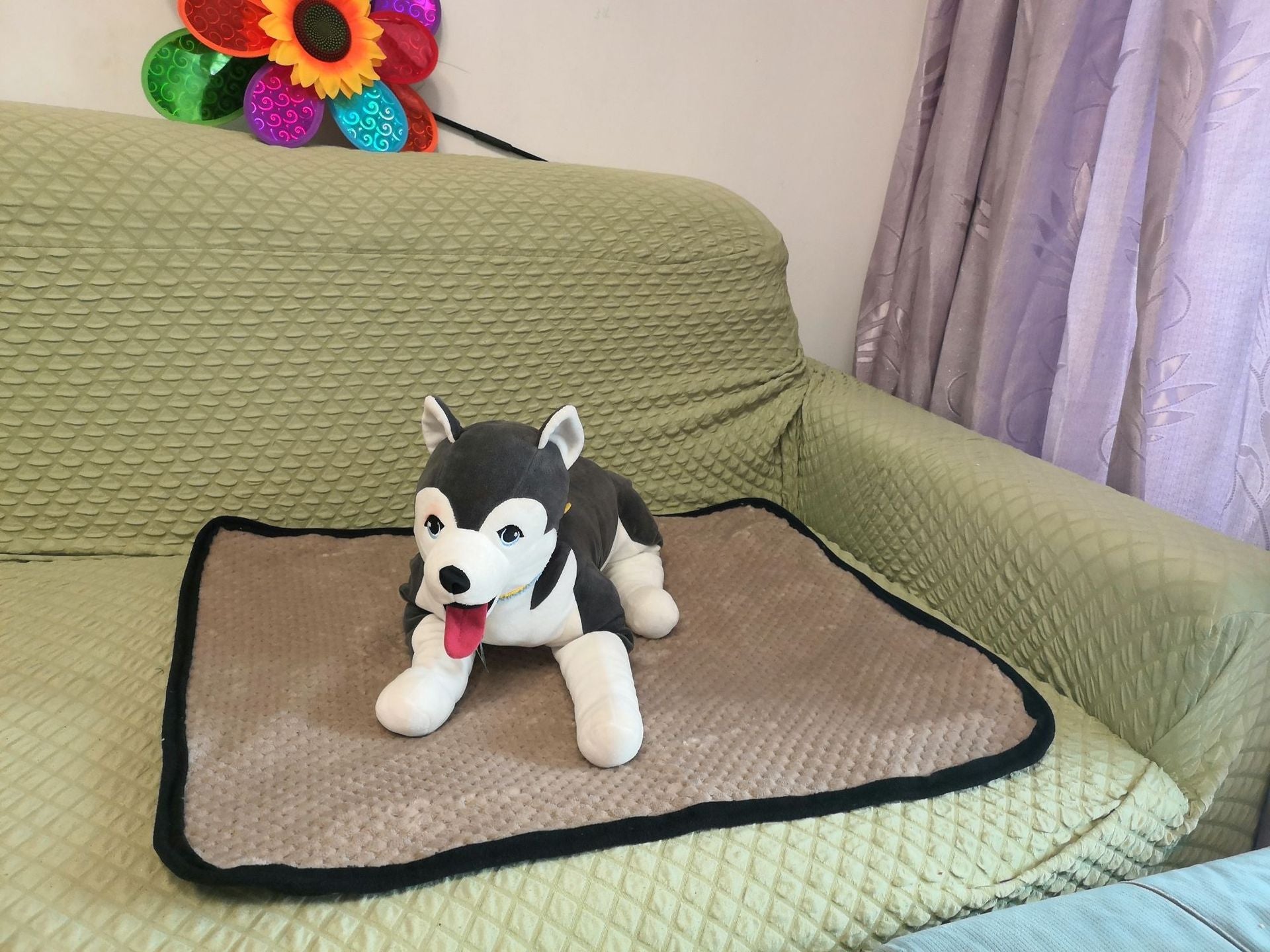Dog absorbent pad - Minihomy