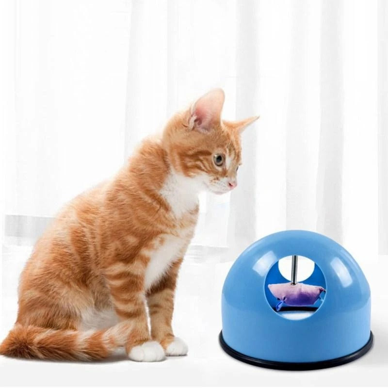 Cat plate toy spin catch cat toy