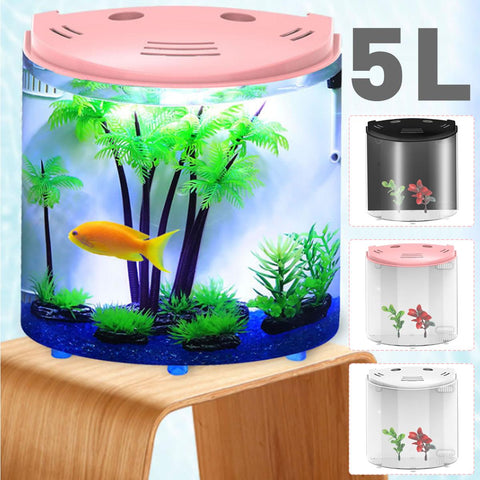 Ecological acrylic fish tank