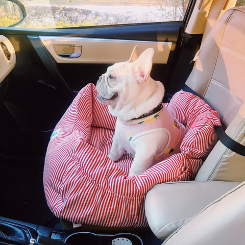 Travel car seat small dog Schnauzer cushion dog