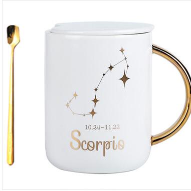 12 constellation roasted flower ceramic mug gift spoon