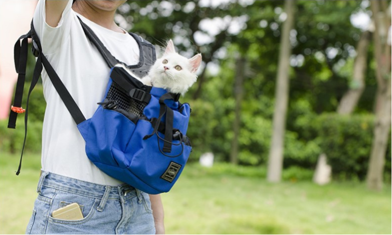 Ventilated And Breathable Pet Backpack