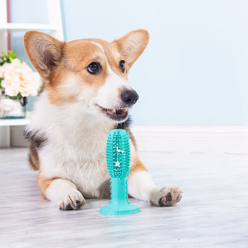 Dog Toothbrush Dog Molar Teeth Cleaning Stick Leaking Food Device Bite Resistant Dog Toy