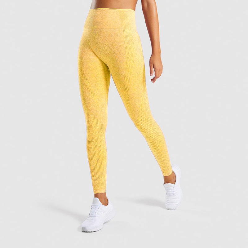 Seamless Jacquard Little Gym Pants Lady