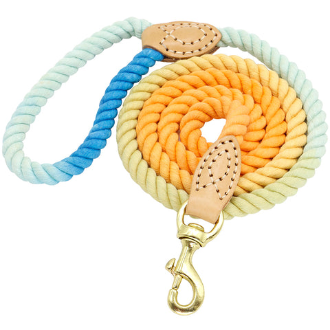 Two-In-One Drag Two Double-Headed Double Dog Walking Dog Rope Half-Chain Collar Small Dog