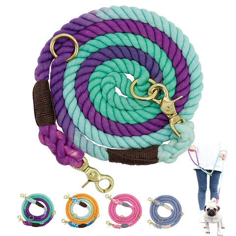 Two-In-One Drag Two Double-Headed Double Dog Walking Dog Rope Half-Chain Collar Small Dog