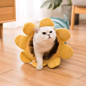 Creative Fruit Funny Pet Cat Tunnel Toys Puppy Ferrets Rabbit Play Dog Tunnel Tubes Toy Tube - Minihomy