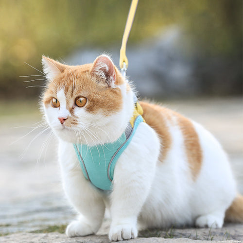 Cat Traction Rope Home Vest-Style Chest Harness Cute Anti-Stroke Cat Walking Rope
