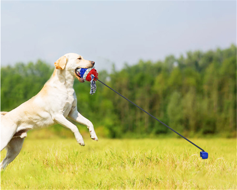 Dog Teething And Bite Resistant Outdoor Strong Draw Rope Ball - Minihomy