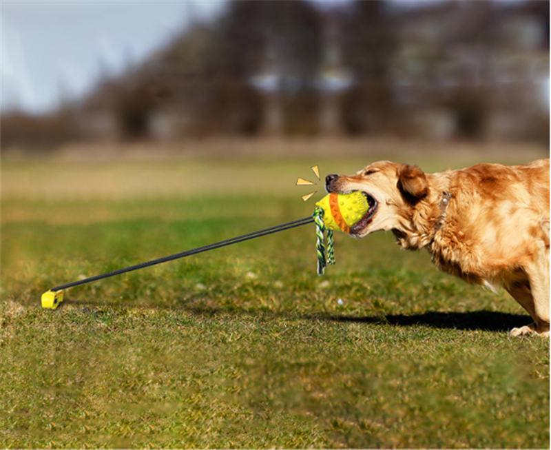 Dog Teething And Bite Resistant Outdoor Strong Draw Rope Ball - Minihomy