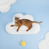 Cloud Mat, Pet Sleeping Mat, Cat Mat - Minihomy