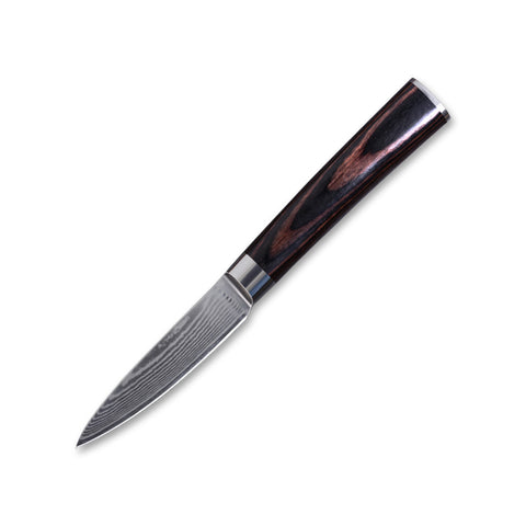 Damascus Fruit Knife Multipurpose Knife Japanese Santoku Knife Gift Knife