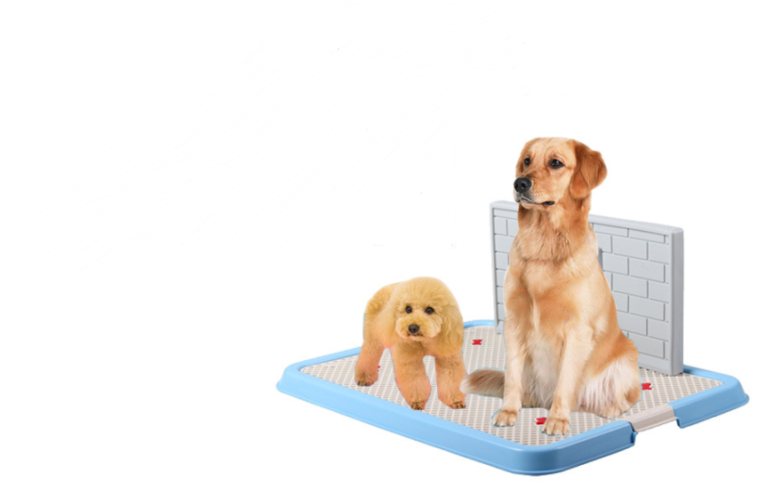 Dog Toilet Puppy Dog Supplies Teddy Dog Urinal Potty Golden Hair Puppies - Minihomy