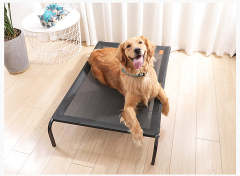 Removable and washable pet bed