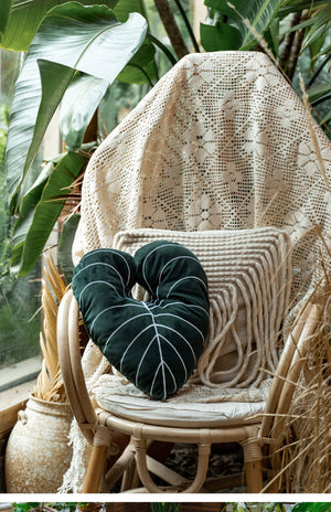 Simple And Hot Planting Of Green Pillow