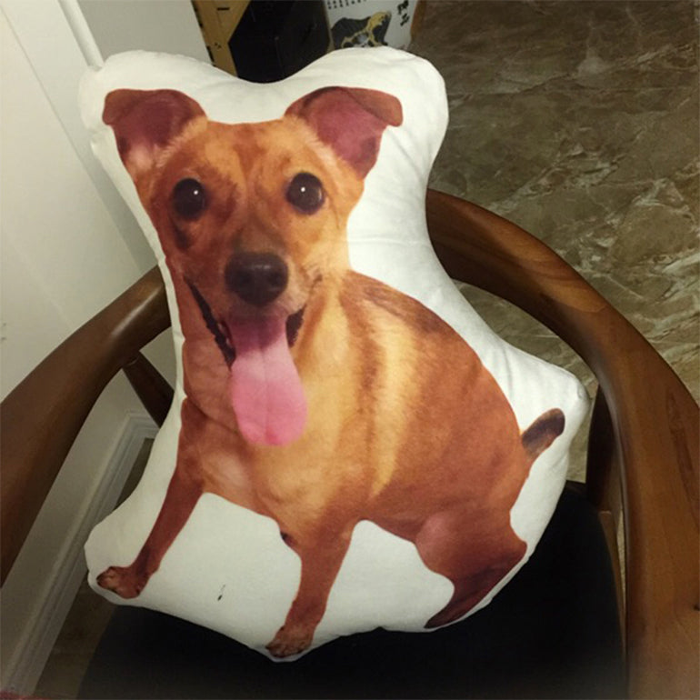 Customize Irregular Pillow Pet Pillow
