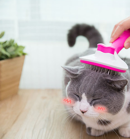 Cat comb long hair hair removal comb