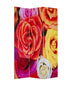 1 X 48 X 72 Multi Color Wood Canvas Daisy And Rose  Screen - Minihomy