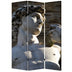 1" X 48" X 72" Multi Color Wood Canvas Rome  Screen - Minihomy