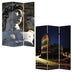 1" X 48" X 72" Multi Color Wood Canvas Rome  Screen - Minihomy