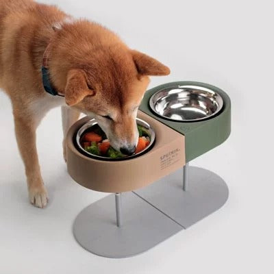 Pet cat and dog camping bowl
