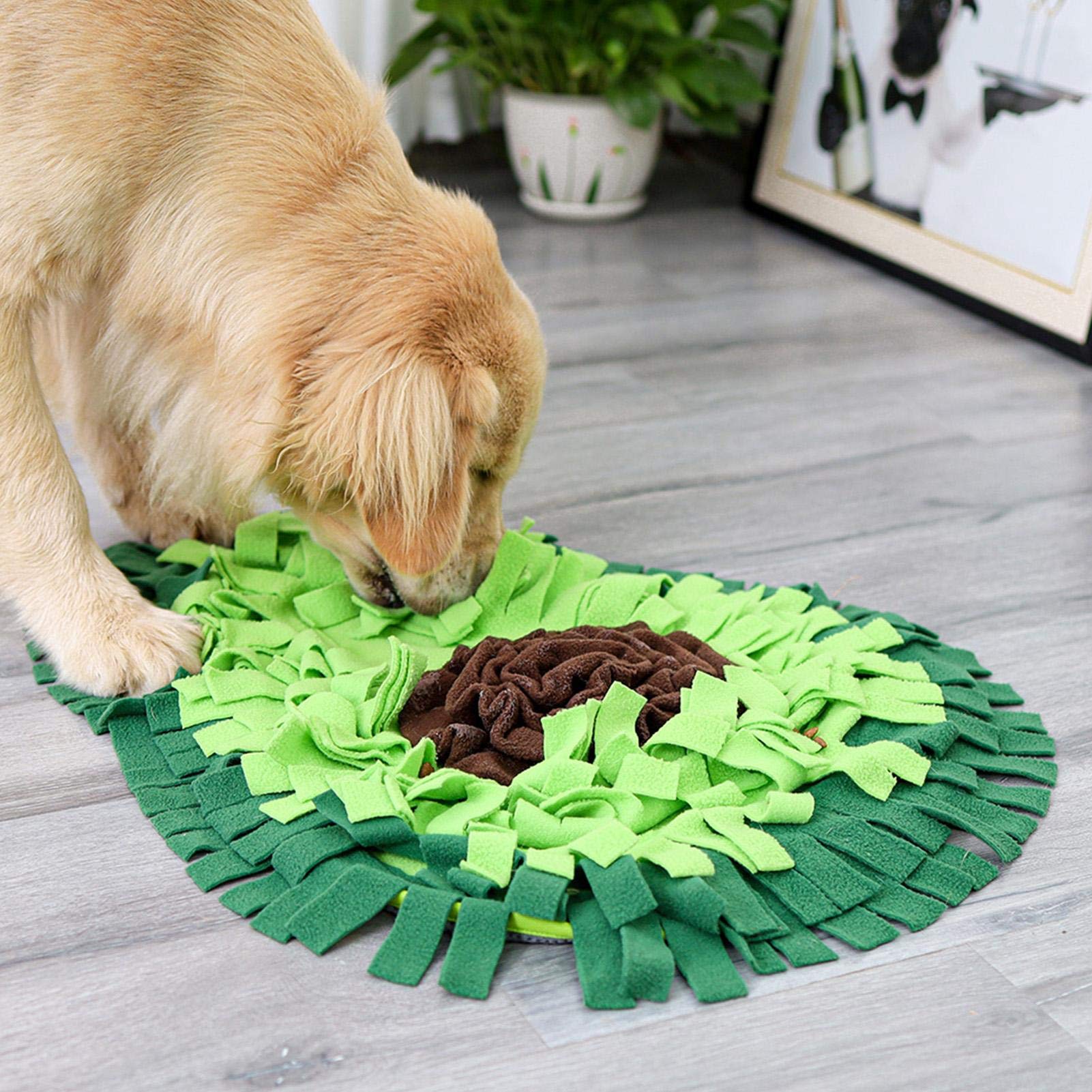 Dog Sniffing Mat Dog Puzzle Toy Pet Snack Feeding Mat Boring Interactive Game Training Blanket Snuffle Feeding Training Mat - Minihomy