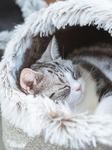 Polar Warm Cat Litter Closed Cat Sleeping Bag Large Winter Deep Sleep Cat Bed